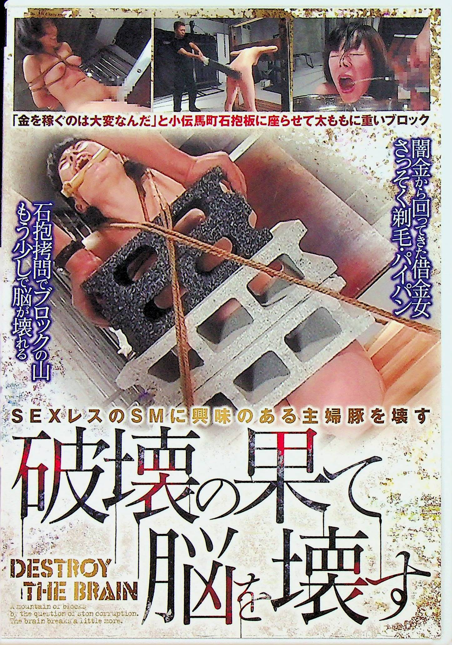 破壊の果て脳を壊す