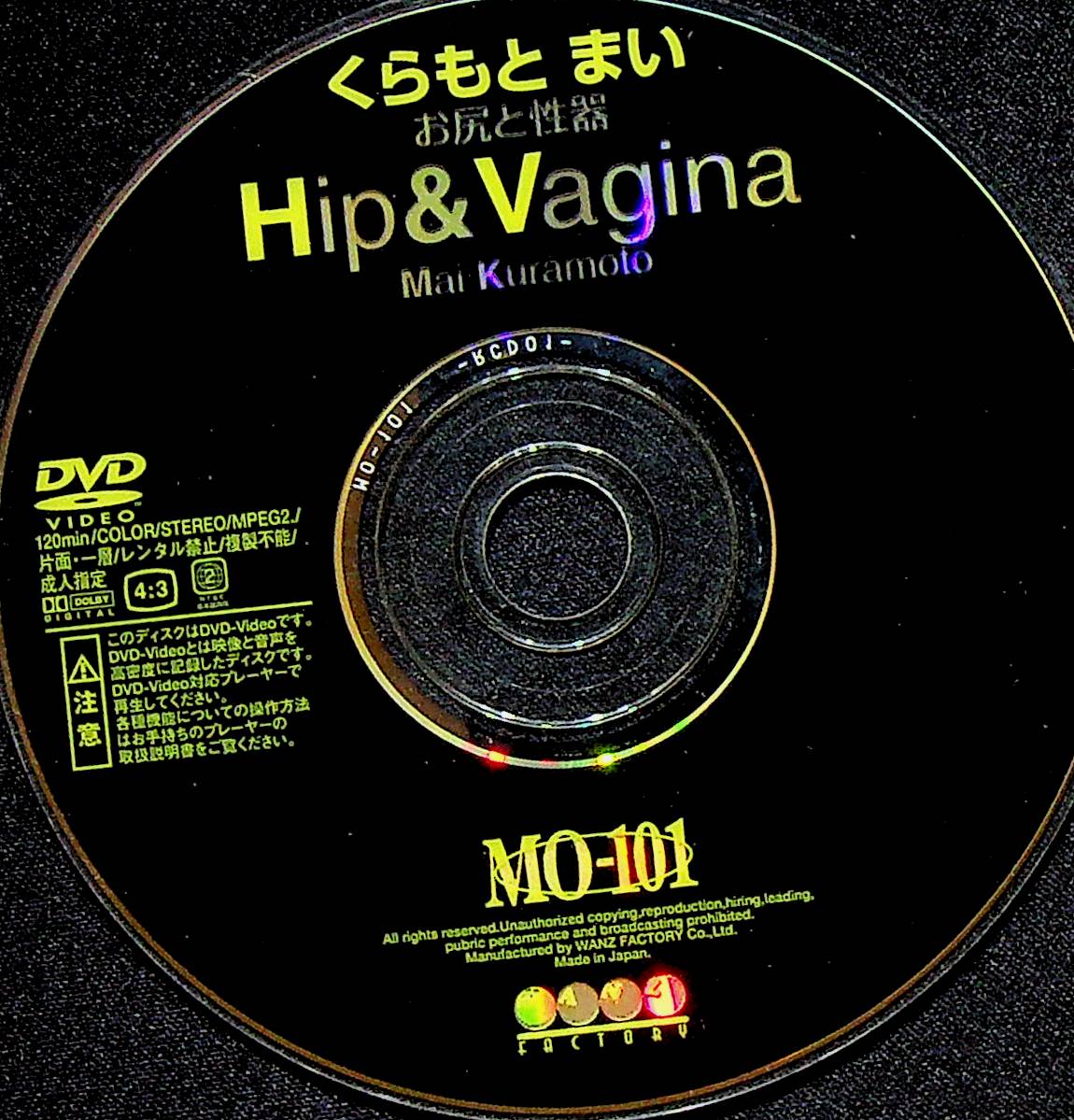 お尻と性器　（ヒップアンドヴァギナ）