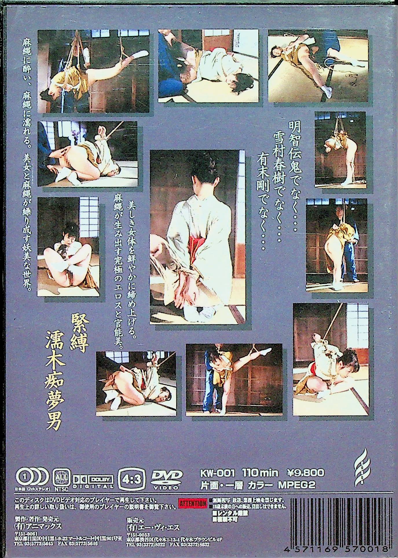 緊縛美の世界