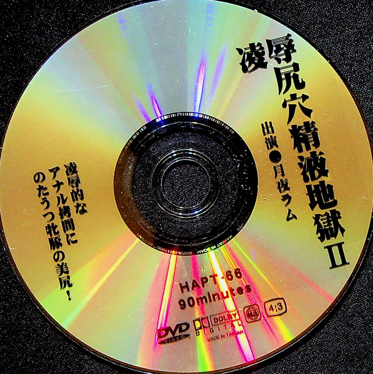 陵辱尻穴精液地獄Ⅱ