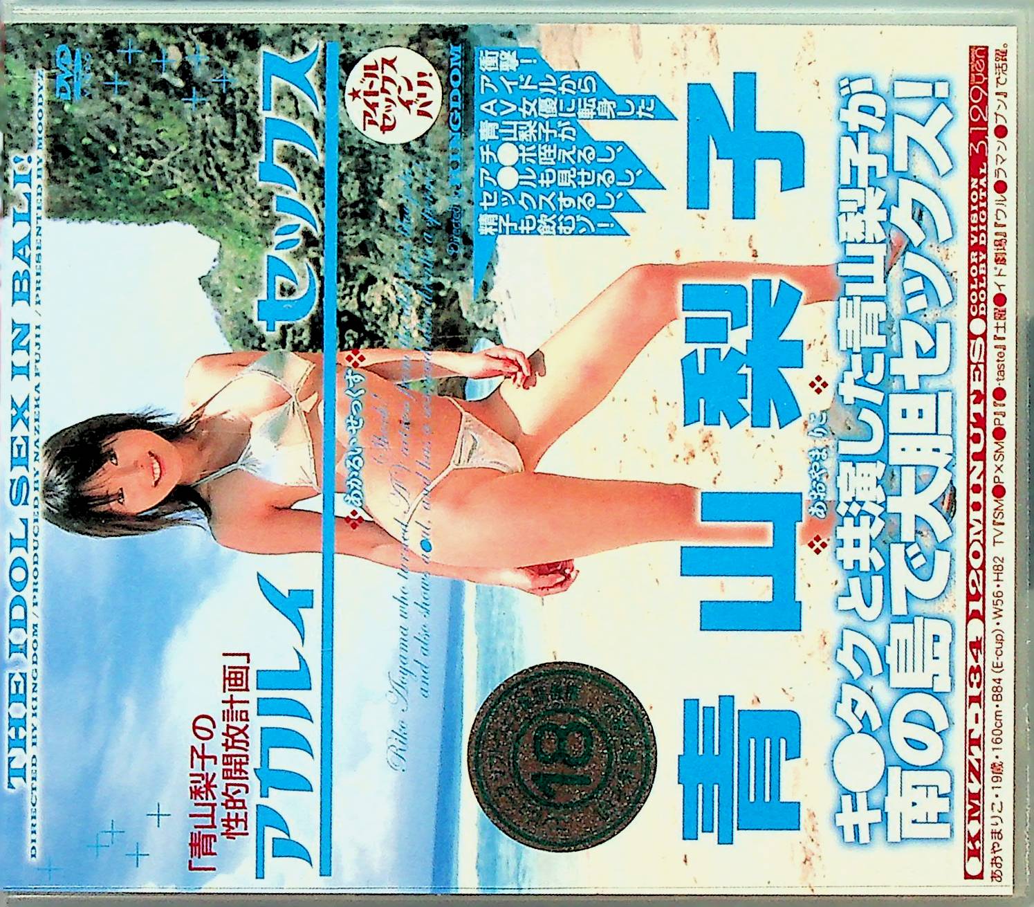 青山梨子の性的解放計画　アカルイセ…
