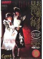お屋敷メイド見習い心得