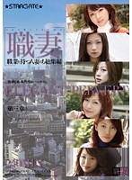 職業を持つ人妻たち　総集編　第三章