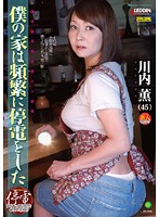 僕の家は頻繁に停電をした　川内薫