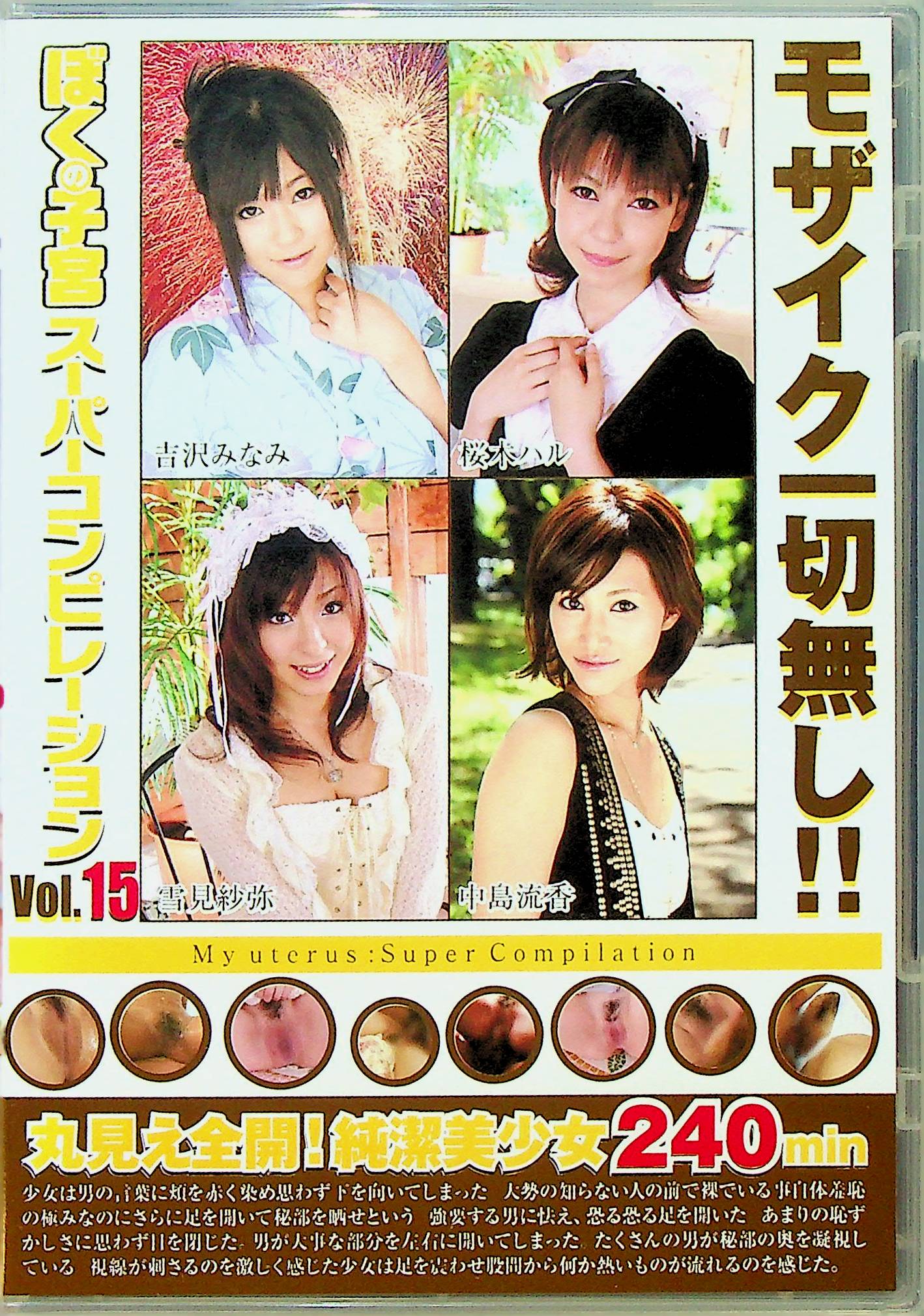 モザイク一切無し！！　ぼくの子宮ＳＰ１５