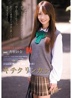 キチクリンカン９４