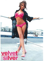 ｖｅｌｖｅｔ　ｓｉｌｖｅｒ　６