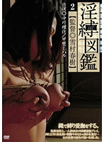 淫縛図鑑　２