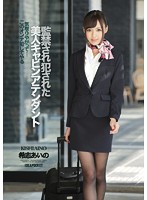 監禁され犯●れた美人キャビンアテンダント　希志あいの