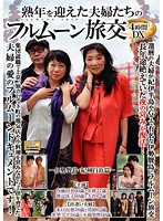 熟年を迎えた夫婦たちのフルムーン旅交４時間ＤＸ　〜伊勢賢島・紀州白浜篇〜