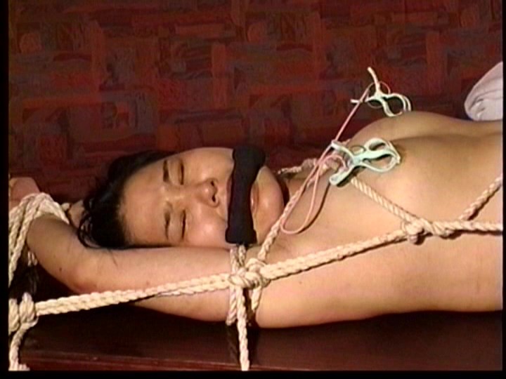 不貞借金妻 メス豚飼育