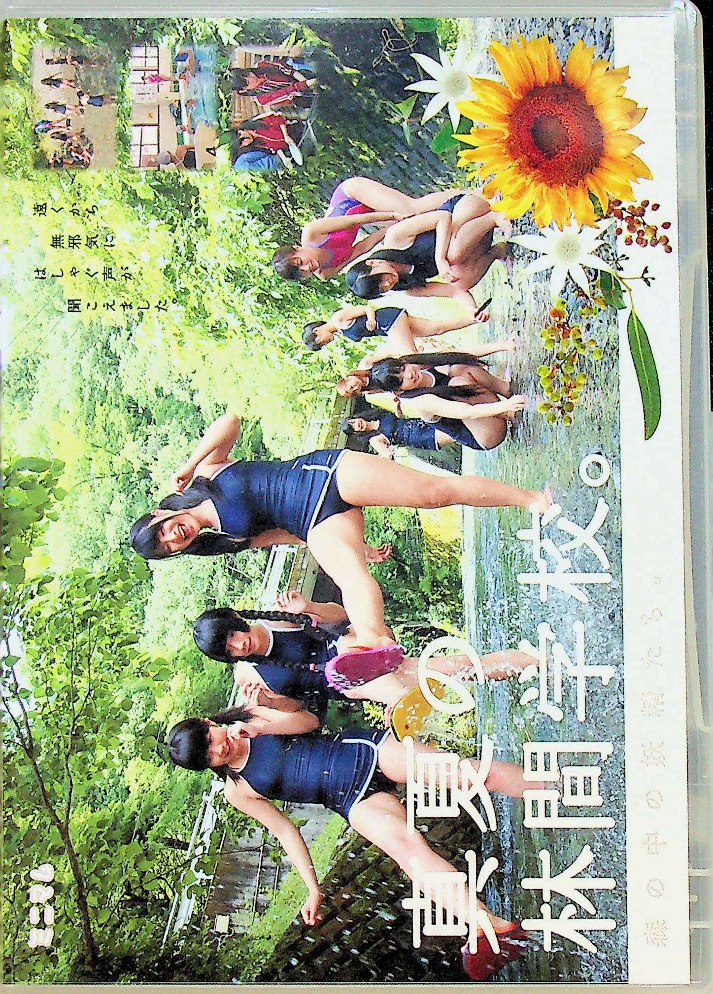 森の中の妖精たち。真夏の林間…