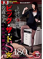 ビッグ・ザ・ドＳ女　名森さえ　〜私の美脚武勇伝〜