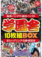 学園舎１０枚組ＢＯＸ〜素人・パンチラ・奇跡・ハプニング・パンスト・露出・闇業界〜