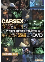 ＣＡＲＳＥＸが多いと評判の●●公園、□×埠頭、台●駐車場で張り込み盗撮したＤＶＤ