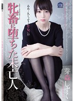 牝畜に堕ちた未亡人　芽森しずく