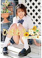 ひまわり咲く／小日向ひまわり
