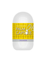 ＮＥＷ　ＦＥＥＬＩＮＧＳ　ＰＡＬＭ　ＣＡＰＳＵＬＥ　０６　ＴＨＵＮＤＥＲ（１５ＭＬ０２･･･