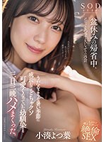 盆休みの帰省中、近所のよつ葉と久しぶりの再会。うだるような暑い季節に成長してどちゃクソ･･･