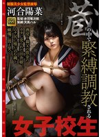 蔵の中で緊縛調教される女子校生　酒浸り親父の借金のカタに売られた田舎娘。ムチ尻に喰い込･･･