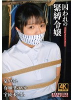 囚われの緊縛令嬢　ＤＩＤコレクション３