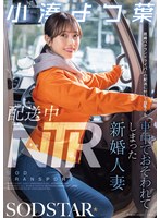 配送中ＮＴＲ　既婚ベテランドライバーの配送に付いて回るうち車中でおそわれてしまった新婚･･･