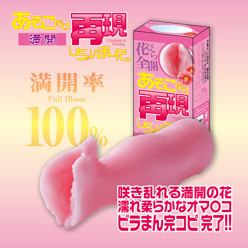 あそこだけ再現しちゃいました。満開